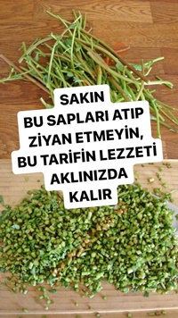 Semizotu Sapı Mücveri