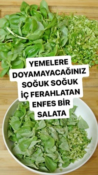 Semizotu Yoğurtlaması