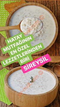 Sireysil