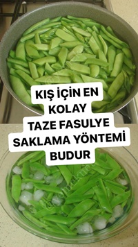 Şoklama Yöntemiyle Taze Fasulye Saklama