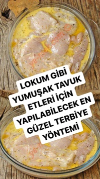 Tavuk Eti Terbiyesi