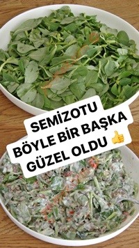 Yoğurtlu Mercimekli Semizotu Salatası