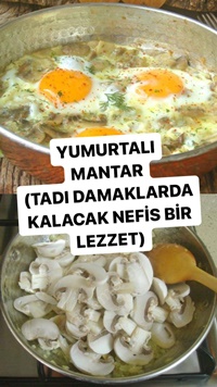 Yumurtalı Mantar