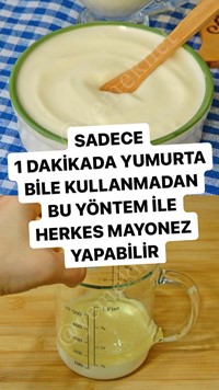 Yumurtasız Mayonez