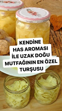 Zencefil Turşusu