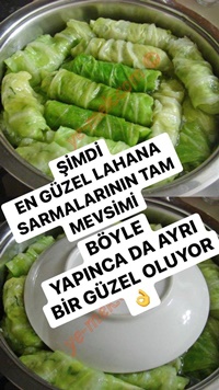 Zeytinyağlı Lahana Sarması